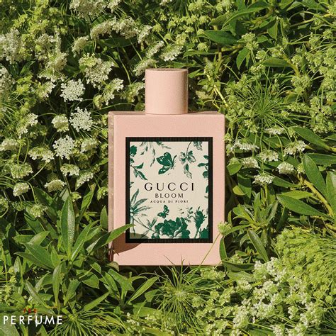 review nước hoa gucci bloom acqua di fiori|cai hoa Gucci Bloom review.